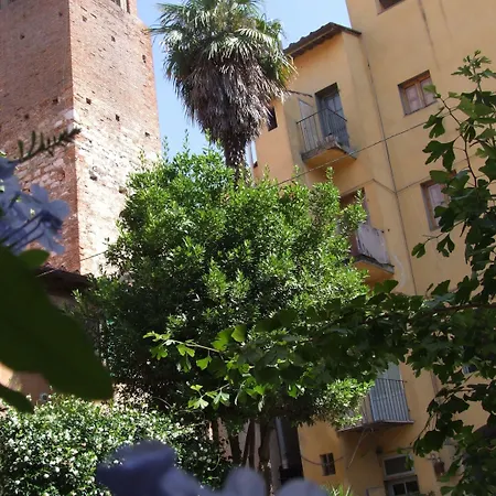 Close To Leaning Tower 피사